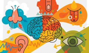 O que é e para o que serve o marketing sensorial?